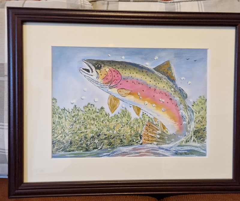 Rainbow Trout